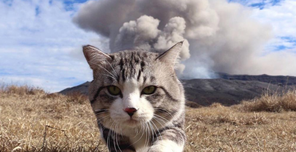 3 Kiểu giao tiếp kém sang trên facebook