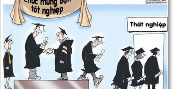 Làm thể nào để không là những con gà tồ đại học